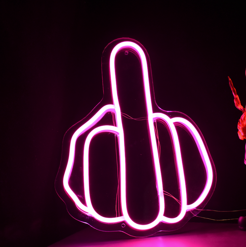 Middle Fingers Neon Lights